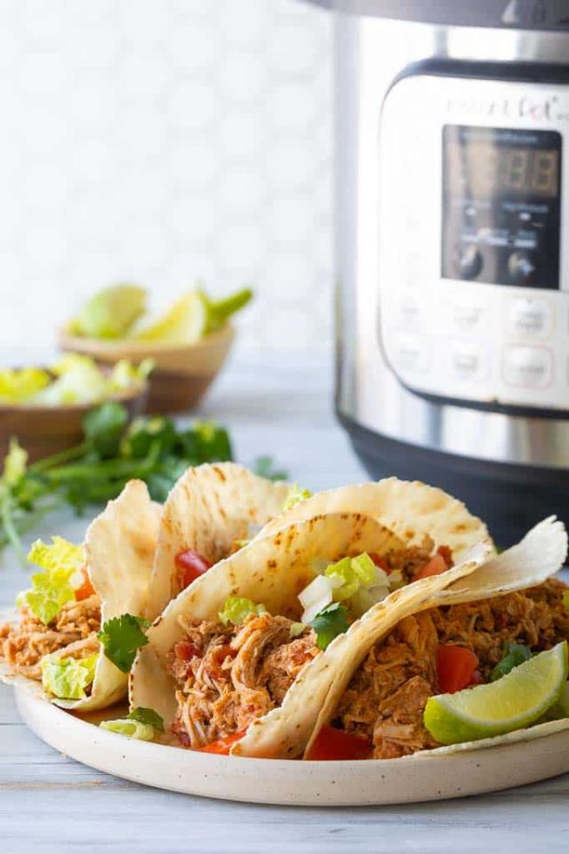 30 Kid Friendly Instant Pot Dinner Recipes - Fun Loving Families