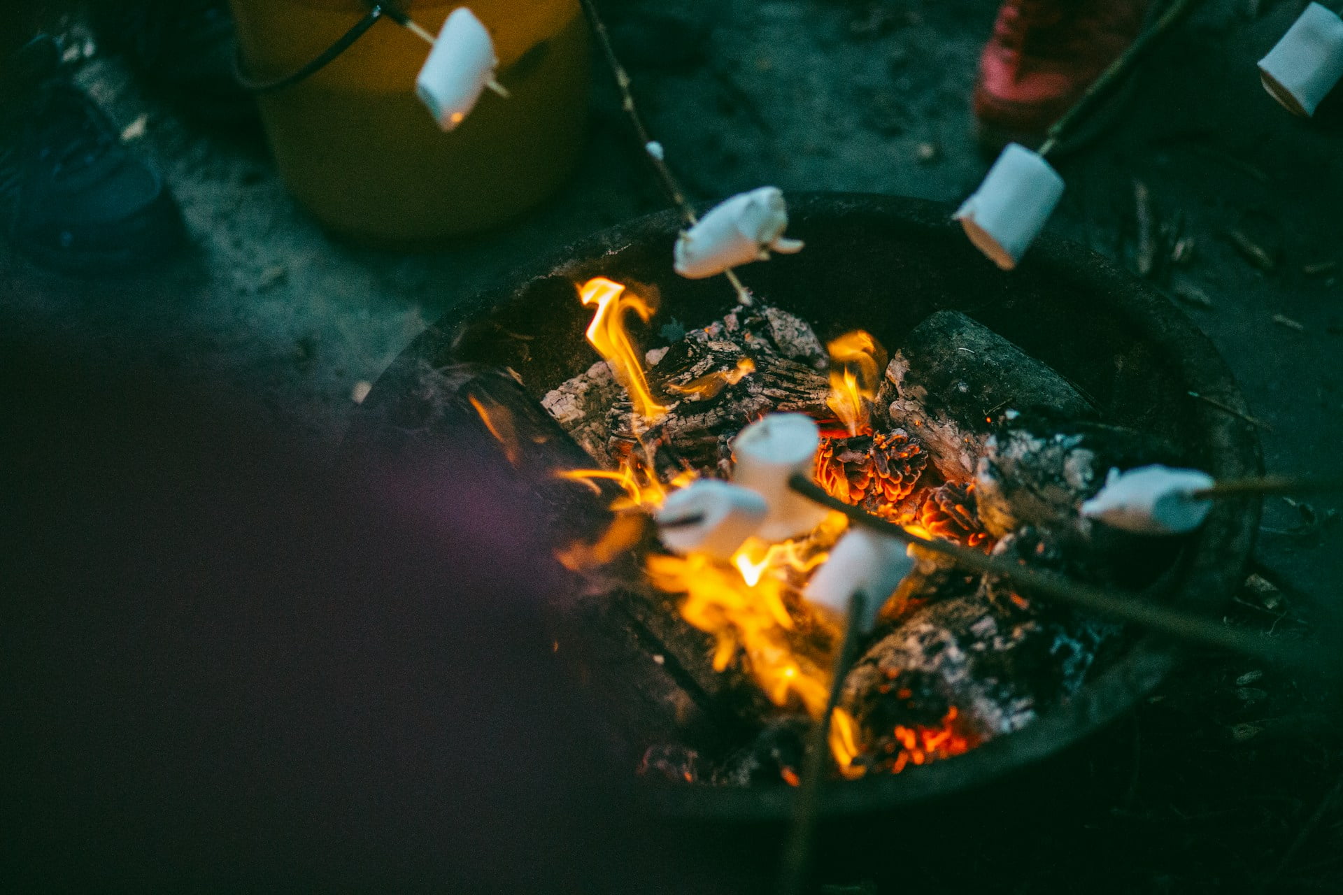 Camp in the Backyard