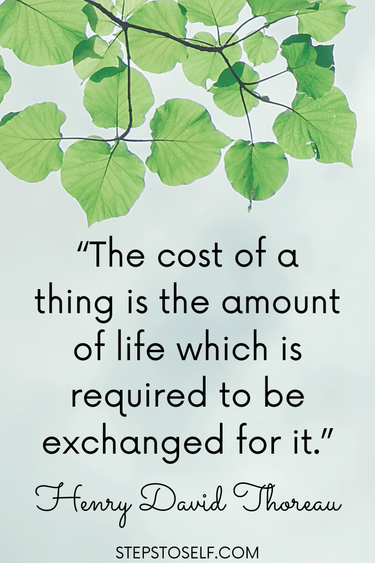 "The cost of a thing is the amount of life which is required to be exchanged for it." Henry David Thoreau
